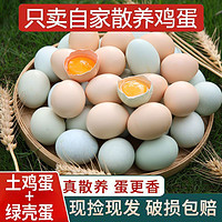 忆乡岭 50枚土鸡蛋乌鸡蛋混合装正宗农家散养土鸡蛋新鲜乌鸡蛋10枚批发