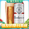 今日必买：Budweiser 百威 经典醇正铝罐啤酒 450mL 20罐