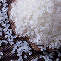 福洞河 东北大米5斤当季新米黑龙江2.5kg珍珠米现磨现发产地真空一级甄选