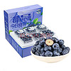 柚琳新鲜蓝莓酸甜特级现摘现发果味浓郁水果蓝莓 精选蓝莓 优选蓝莓 125g  *6 盒单 果15-18MM 单果14-17M M125g*2盒