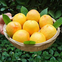 樱鲜 山东蒙阴黄油桃 5斤装 （15-18个）