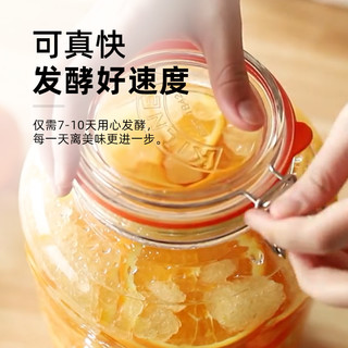 川秀果酒曲子葡萄桔子火龙果青梅自制水果酒酵母发酵粉2g/袋