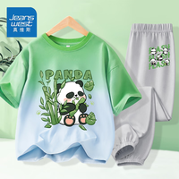 真维斯男童短袖速干裤套装夏季中大童吊染半袖网眼裤子潮流套装 绿蓝灰【套装】(五个吃竹熊猫) 110