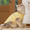 阿莫尔 小猫猫咪衣服夏季薄款轻薄透气布偶英短金渐层春夏季狗狗宠物衣服