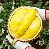 泰国进口金枕头榴莲3-4斤装新鲜新鲜水果时令
