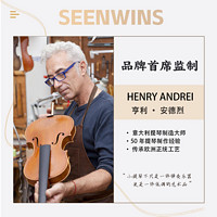 SEENWINS/圣维斯 SEENWINS圣维斯SW006纯手工小提琴儿童考级成人演奏意大利工艺