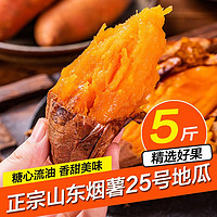 魯韻憶鄉 山東煙薯25號 地瓜 甜流油薯烤 番薯新鮮蔬菜 煙薯25號地瓜凈重5斤