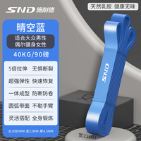 施耐德弹力带引体向上阻力带力量训练助力带拉力绳男练胸肌 【晴空蓝】阻力约40kg/90磅
