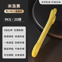 施耐德弹力带引体向上阻力带力量训练助力带拉力绳男练胸肌 【米洛黄】阻力约9kg/20磅