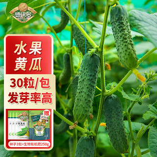 德沃多 DEWODUOFEILIAO种子水果黄瓜*3袋+生物有机肥250g花草籽四季播种蔬菜种阳台盆栽