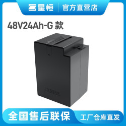 星恒4824g款新国标爱玛雅迪台铃绿源电动车原装电池48v24ah锂电池品字