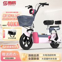 雪辰 雅迪电动车新国标电动自行车48V12A轻便助力小型电瓶车 48v12Ah纯电20-45km 48V12A原厂铅酸电池续航约80里
