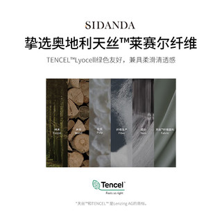 SIDANDA奥地利100支兰精天丝提花四件套春夏轻奢凉感丝滑被套床单款