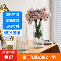 玻璃花瓶透明植物插花瓶水培容器2个装（图案各一）