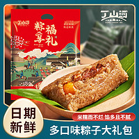 丁山河 粽子礼袋肉粽甜粽 10粽5味大礼包 1100g