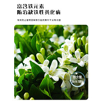 花神紀 硫酸亞鐵花用酸性肥料通用型茉莉花卉補鐵花肥杜鵑花梔子花專用肥