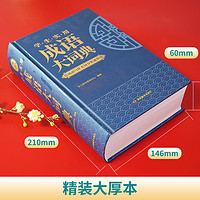成语大词典正版2024年小学生初高中生专用新华现代汉语成语大字典