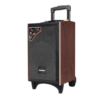 特美声 音响SL06-26广场舞音响演出大功率手提音箱A8-24(8寸标配+单话筒）