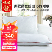 丝煌 100%桑蚕丝枕头枕芯  成人低枕(47x74)桑蚕丝800克 单只装