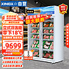 XINGX 星星 800升风冷立式冷冻展示柜双门冷冻立式商用展示柜超低温陈列柜 LSD-810WD