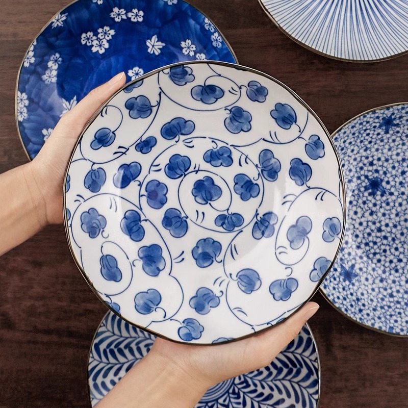 日系进口釉下彩盘子套装创意家用21CM陶瓷菜盘组合高级感