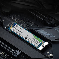SEAGATE 希捷 PCIE4.0 SSD固态硬盘 酷鱼510系列 250G：读速3200MB/S，写速1300MB/S