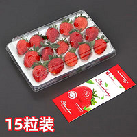 钱小二 夏季草莓 礼盒装  9盒/每盒15粒