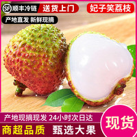 花蜜果 妃子笑荔枝大果现摘新鲜水果礼盒 优选果 1斤 实惠装