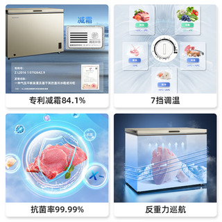 美菱 MELING冰柜300升卧式家用商用减霜冷藏冷冻大容量冷柜一级能效BC/BD-300DTX-炫金 300L
