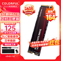 COLORFUL 七彩虹 镭风系列 SSD固态硬盘 高速M.2 NVMe接口 CF600 256G