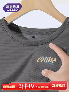 TONLION 唐狮 DESSO 新中式国风冰丝短袖男夏季薄款速干运动男士网眼t恤