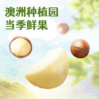 沃隆 每日坚果罐装坚果原味果仁 无添加营养办公室零食家庭分享装 夏威夷果半粒式450g/罐赠礼袋