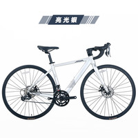 佳沃JAVA公路车蓝图R3油压碟刹16速轻量航空铝合金自行车维洛克VELOCE 亮光银 【M】身高169-176cm 【蓝图-R3油压碟刹】16速