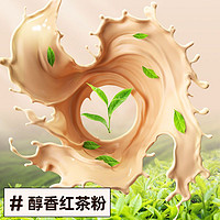Nanguo 南国 国徐大漂亮330g生椰乳茶速溶特浓牛乳奶茶冲饮椰香椰奶茶粉饮料