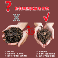 凝香思 小罐老白茶】精致高端茶叶 品鉴好茶--老贡眉6饼共30克 枣香枣甜