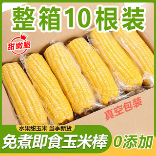 丝农优品水果玉米开袋即食免煮新鲜真空袋装甜嫩玉米低脂速食粗粮代餐主食 大棒水果甜玉米(2200g/箱)8支