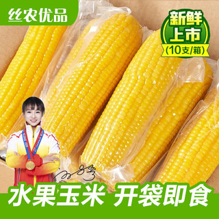 丝农优品水果玉米开袋即食免煮新鲜真空袋装甜嫩玉米低脂速食粗粮代餐主食 大棒水果甜玉米(2200g/箱)8支