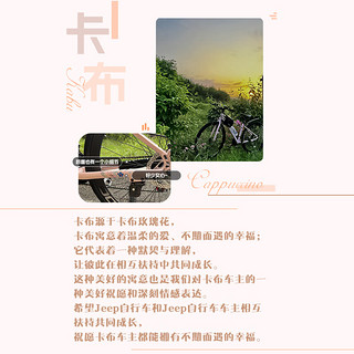 Jeep吉普自行车公路车铝合金低跨度女士通勤代步公路自行车-卡布 皎月白 700C（适合身高150-175cm） 27速