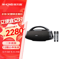 W-King 维尔晶 D20手提音响大功率户外直播唱歌乐器蓝牙音箱防水低音炮无线话筒追剧震撼动听双话筒