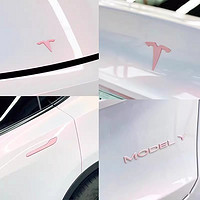 纬度 斯拉焕新Model3紫色车标modelY粉色车贴门把手贴片装饰配件改装