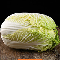 小秋佳园 新鲜现挖山东特产大白菜 烧烤食材净重约3斤4.8斤新鲜蔬菜 约3斤(2.5-3斤