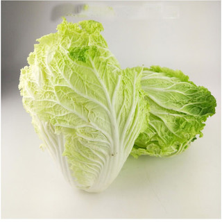 小秋佳园 新鲜现挖山东特产大白菜 烧烤食材净重约3斤4.8斤新鲜蔬菜 约3斤(2.5-3斤