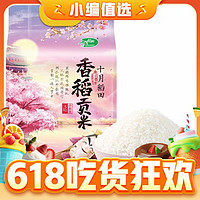 SHI YUE DAO TIAN 十月稻田 香稻贡米 5kg