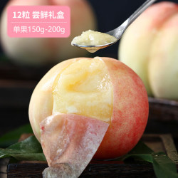京鲜生 正宗无锡阳山水蜜桃12粒礼盒装（每粒3-4两）