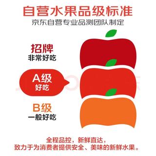 京鲜生 山西水蜜桃5斤 单果150g+ 软硬两吃 源头直发