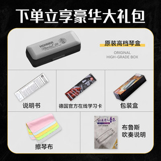 HOHNER和来SP20布鲁斯PADDY调音10十孔口琴成人儿童初学通用 10孔 C调 -SP20【PADDY调音】