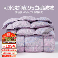 博洋（BEYOND） 博洋家纺95%羽绒被白鹅绒被冬被保暖抑菌加厚被子冬季秋冬被芯 【抑菌可水洗】鹅绒冬被-亚诺 200*230cm