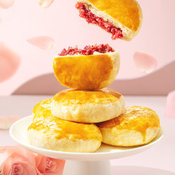 jiahua food 嘉华食品 嘉华 经典鲜花饼50g*10枚