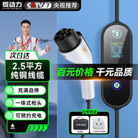菱动力(LINGDONGLI)随车充电枪充电桩 新能源电动汽车充电器 比亚迪特斯拉蔚来小鹏五菱宏光mini通用 8/16A 3.5kw15米