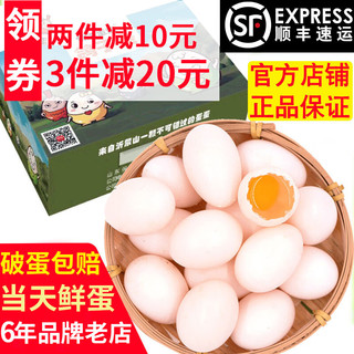 保卫蛋蛋新鲜鸽子蛋农家宝宝杂粮喂养礼盒端午节 鸽子蛋20枚大个红色礼盒+手提袋